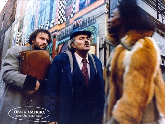 143379 galeria tiszta amerika 01